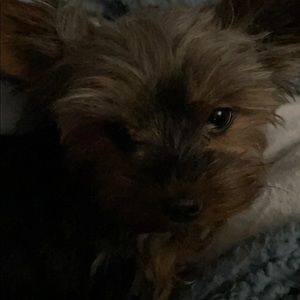 Meet your Posher, Tiffany